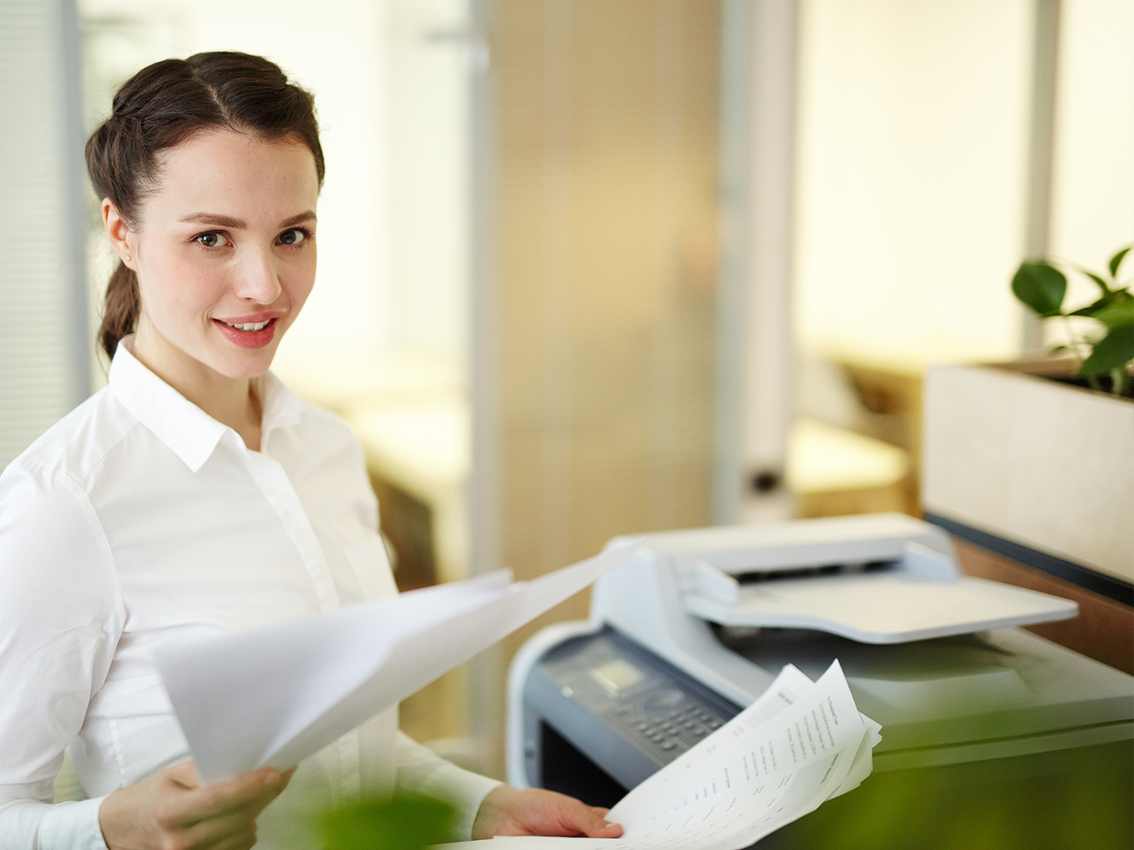 image/catalog/slider/04.jpg